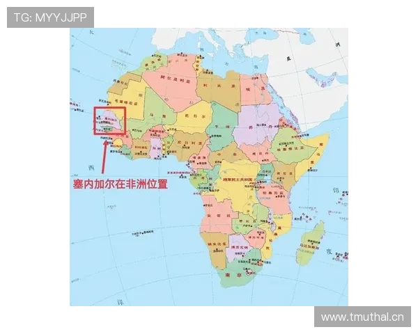 塞内加尔能否再创奇迹?2026世界杯出线前景与阵容预测 塞内加尔能否再创奇迹?2026世界杯出线前景与阵容预测