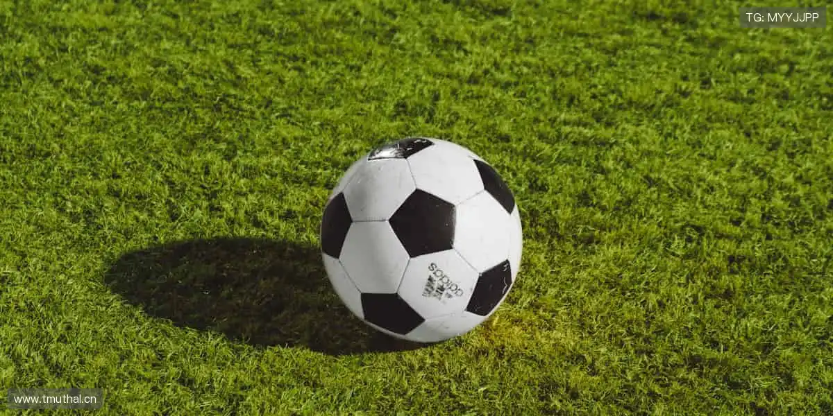 巅峰对决,心跳与赛事同频!💥⚡